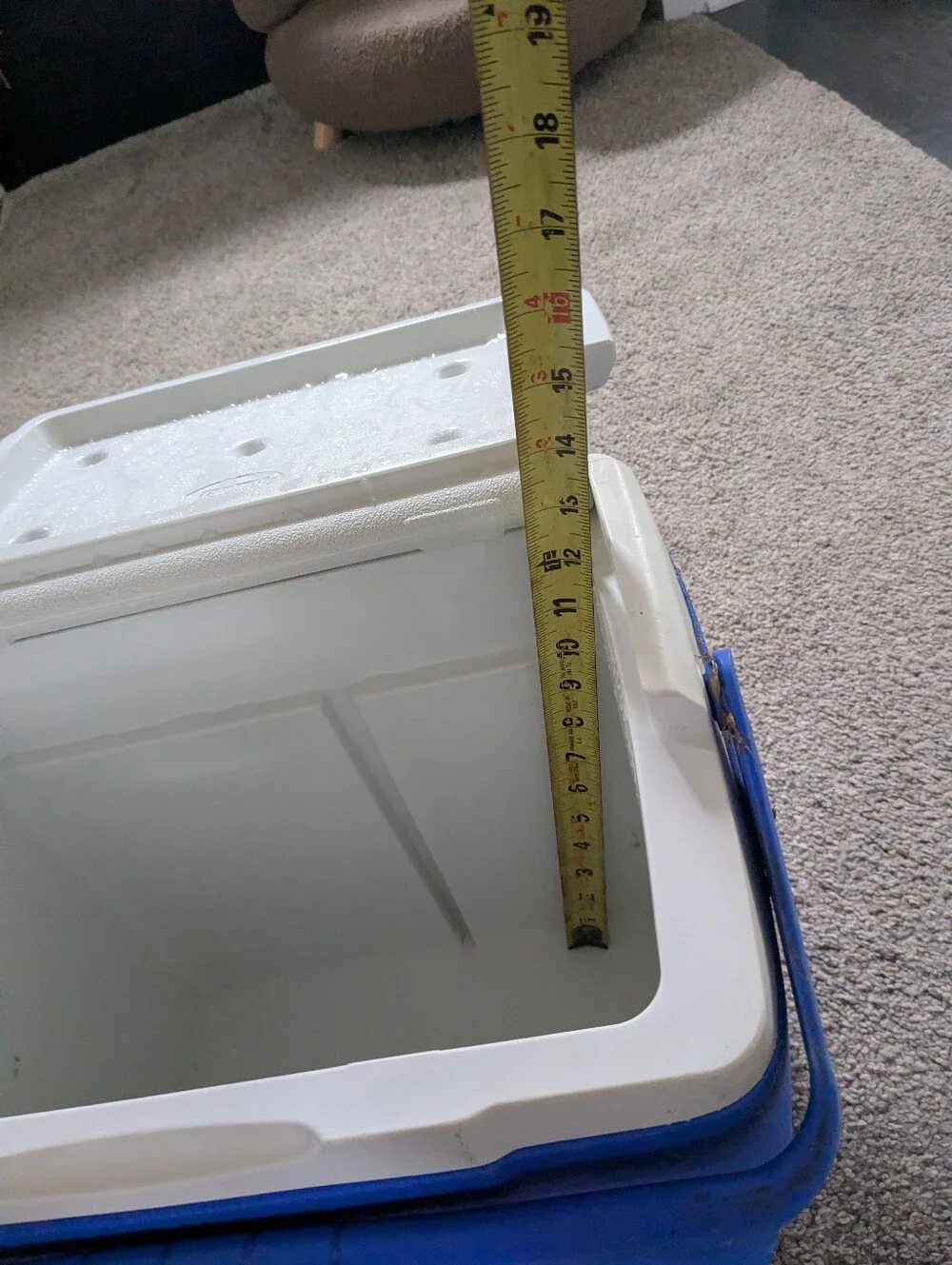 Coleman Blue and White Cooler with Carry Handle